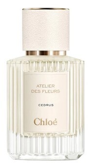 Atelier Des Fleurs Cedrus