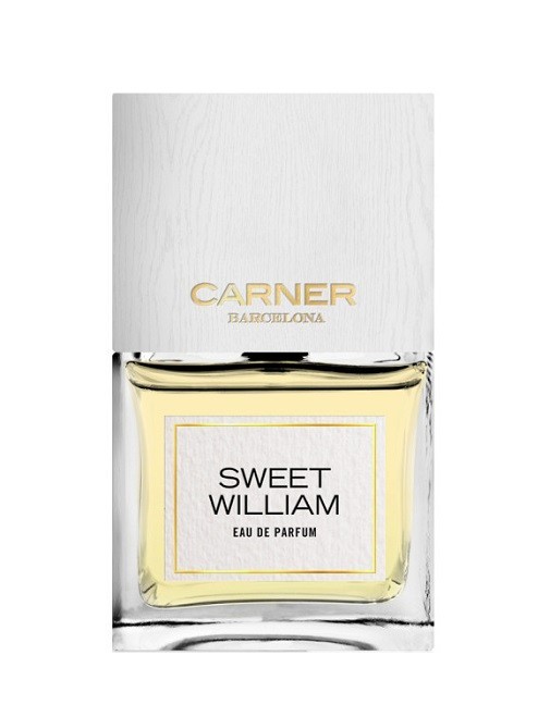 Carner Barcelona Sweet William