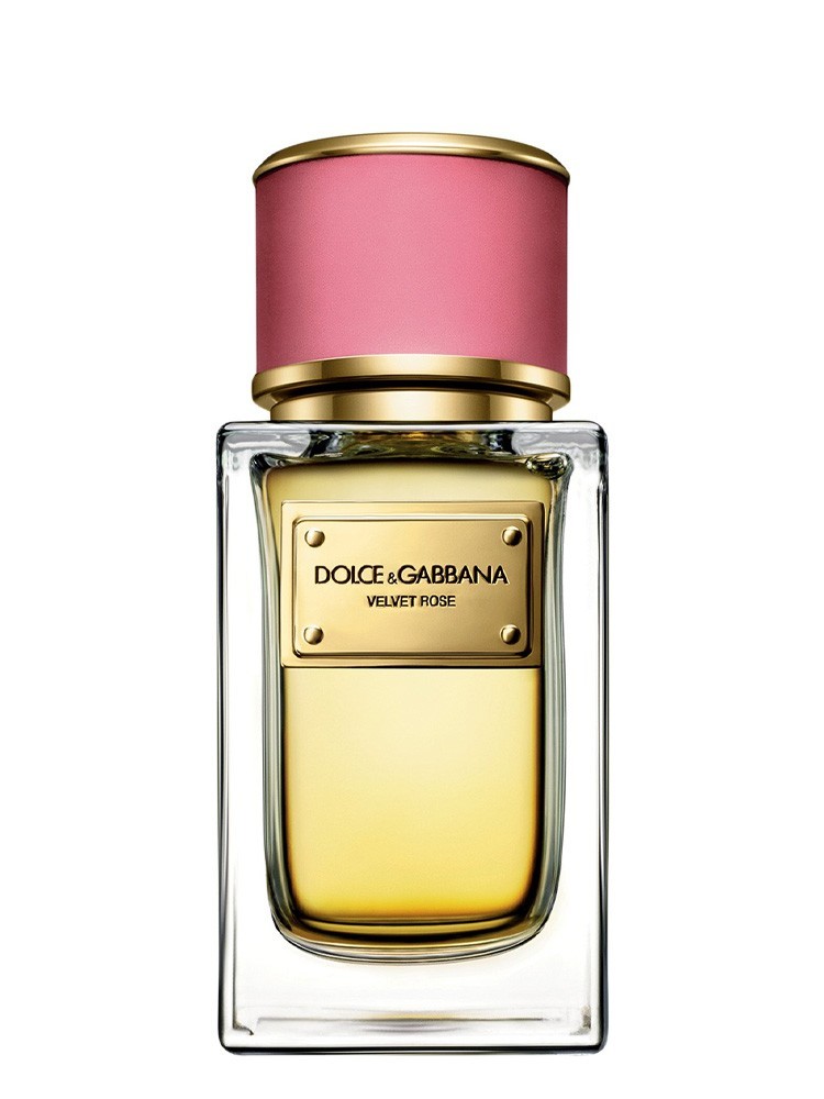 Dolce & Gabbana Velvet Rose