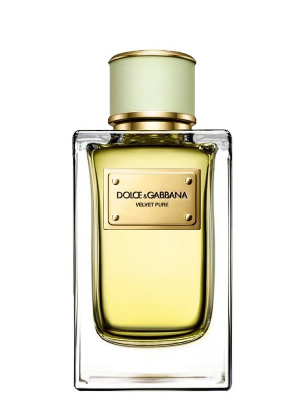 Dolce & Gabbana Velvet Pure