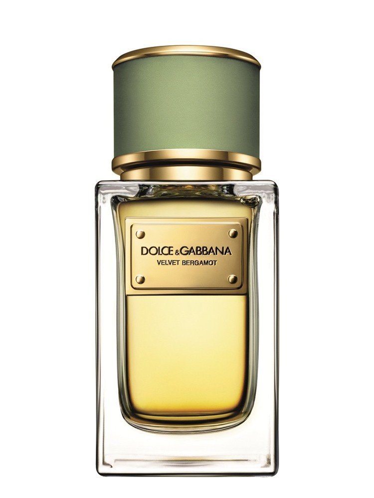 Dolce & Gabbana Velvet Bergamot