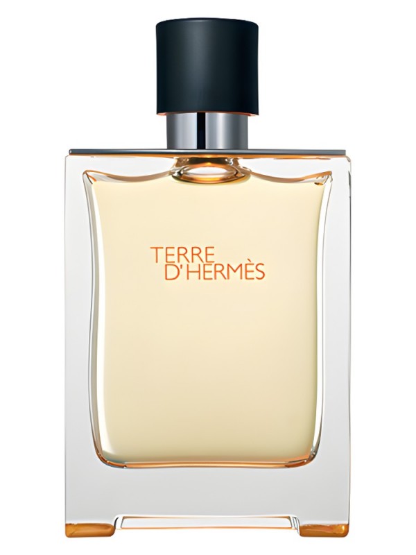 Hermes Terre D'Hermes (sale)