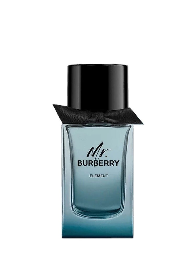 Burberry Mr. Burberry Element