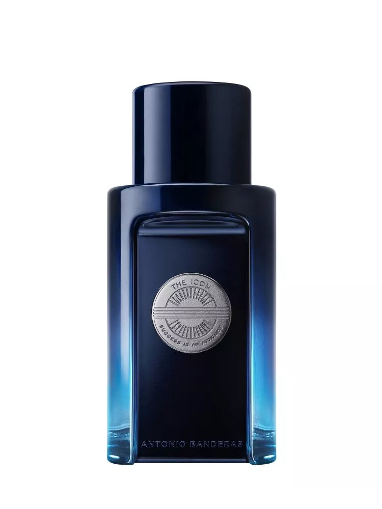 Antonio Banderas The Icon