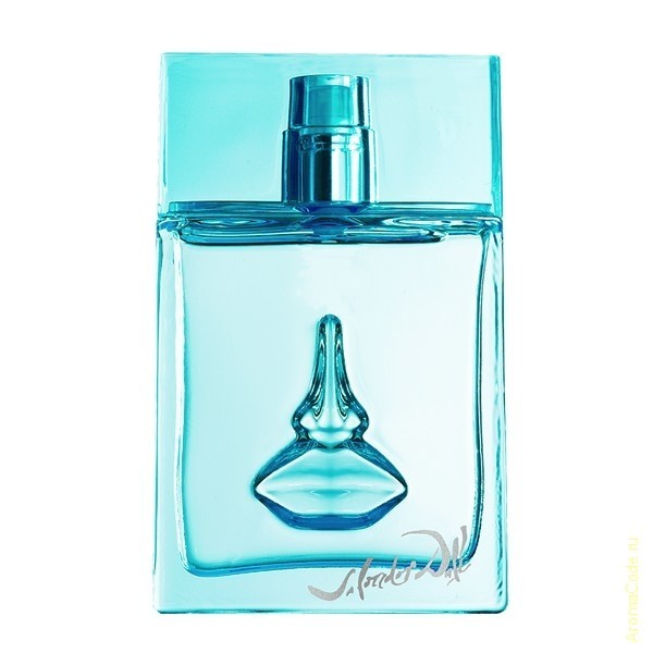 Salvador Dali Sea & Sun in Cadaques