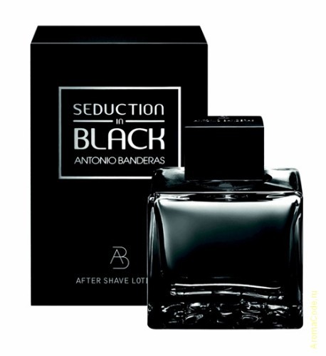 Antonio Banderas Seduction In Black