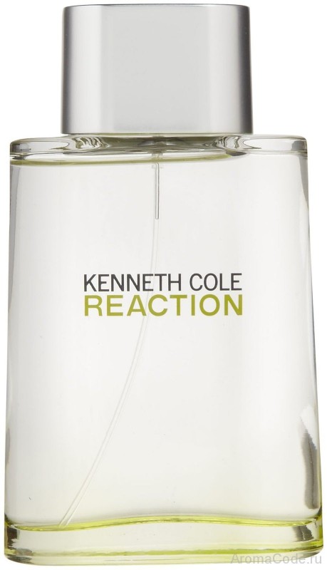 Kenneth Cole Reaction