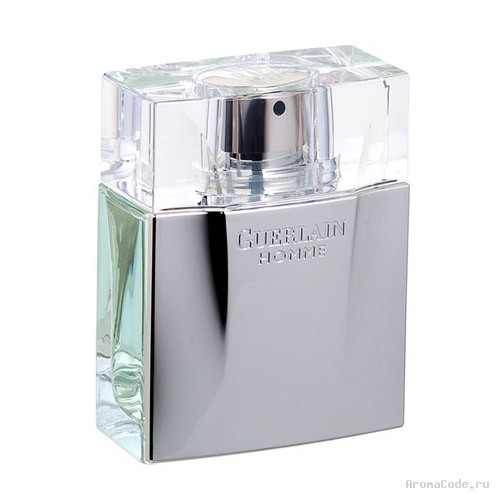 Guerlain Homme